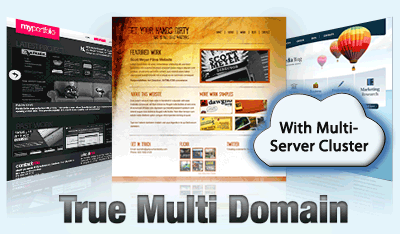 Multi Domain Web Hosting